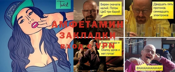 прущие грибы Аркадак
