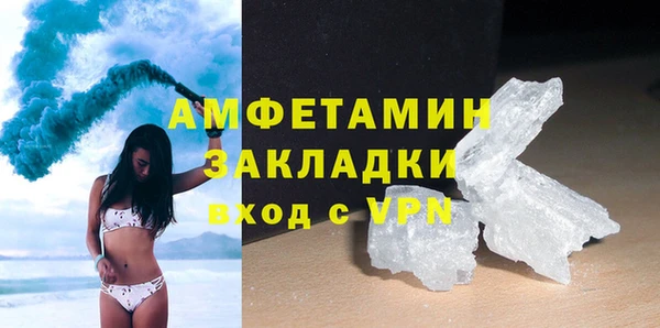 прущие грибы Аркадак