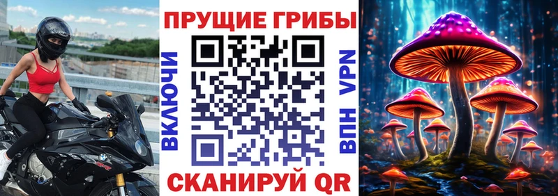 даркнет как зайти  где продают наркотики  Прохладный  Галлюциногенные грибы Psilocybine cubensis 